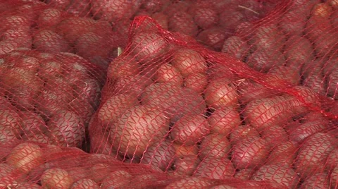 Potatoes in net sacks Stock Footage 54363783