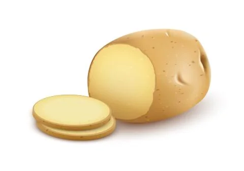 Potatoes organic vegetable with cuts 스톡 일러스트