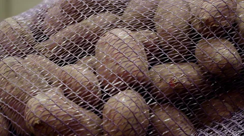Potatoes packed in sacks 库存影片 61566581