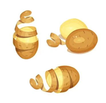 Potatoes with peel. Set of Vegetable foodstuff. Agriculture organic product. Stock-Illustration