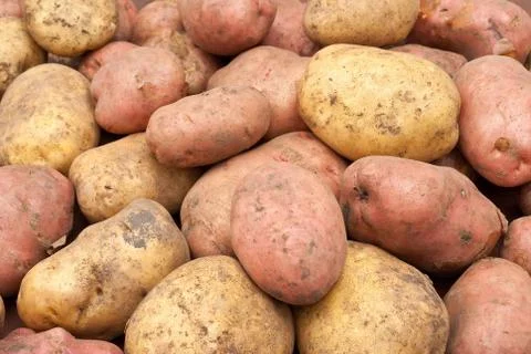 Potatoes Stock Photos