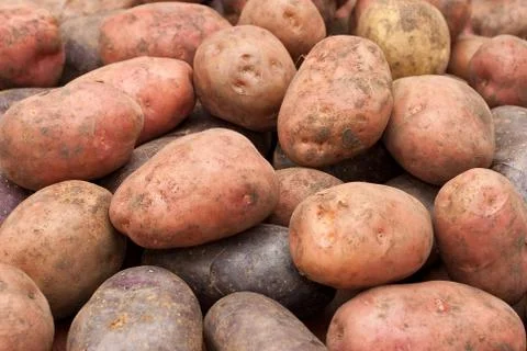 Potatoes Stock Photos