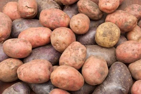 Potatoes Stock Photos