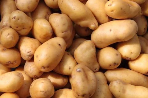 Potatoes Stock Photos