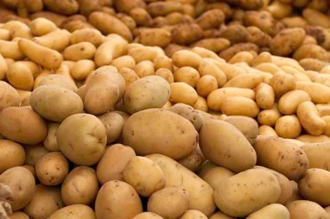 Potatoes Stock Photos
