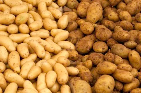 Potatoes Stock Photos