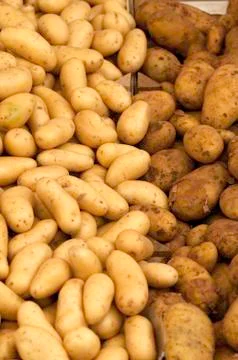Potatoes Stock Photos
