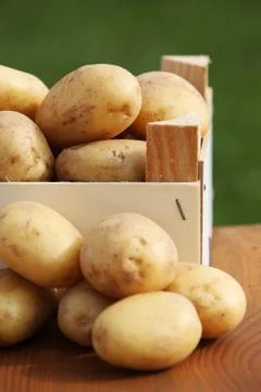 Potatoes Stock Photos