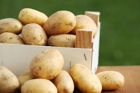 Potatoes Stock Photos