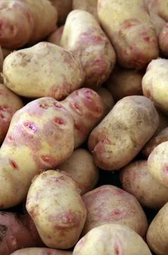 Potatoes Stock Photos