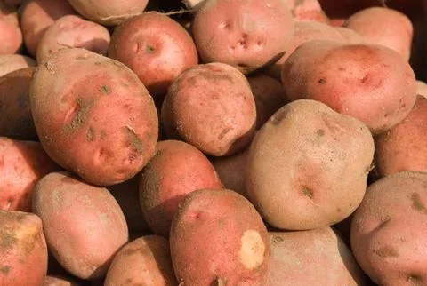 Potatoes Stock Photos
