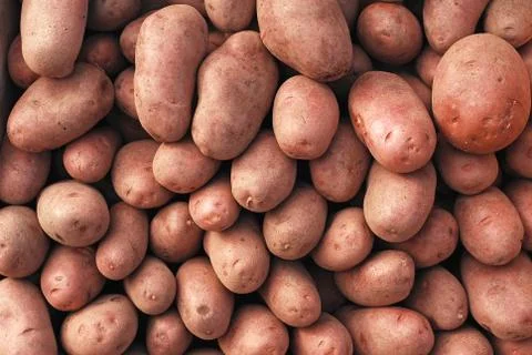 Potatoes Stock Photos