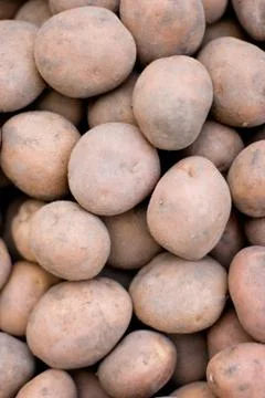 Potatoes Stock Photos