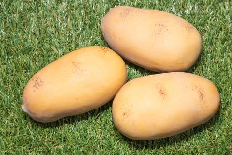Potatoes Stock Photos