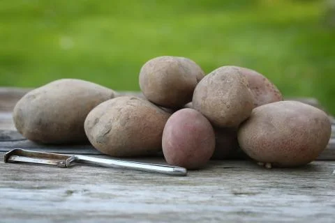 Potatoes Stock Photos