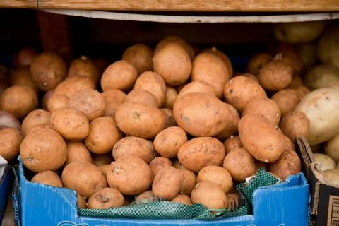 Potatoes. Stock Photos