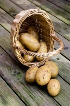 Potatoes. Foto stock
