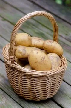 Potatoes. Stock Photos