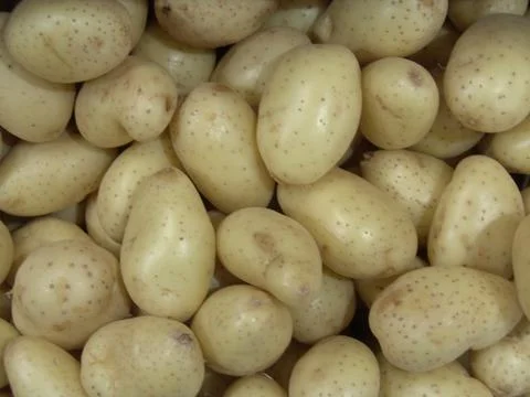 Potatoes Stock Photos