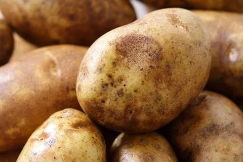 Potatoes Stock Photos
