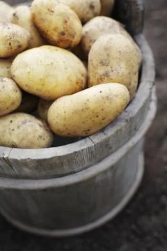 Potatoes Stock Photos