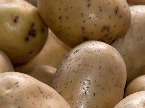 Potatoes Stock Photos
