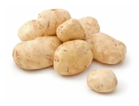 Potatoes. Stock Photos