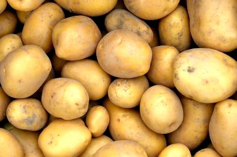 Potatoes Stock Photos