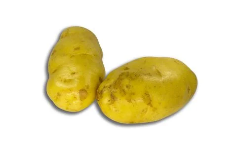 Potatoes. Stock Photos