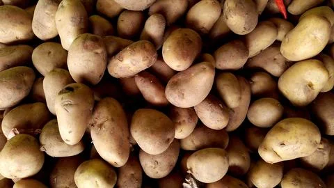 Potatoes Stockfoto's