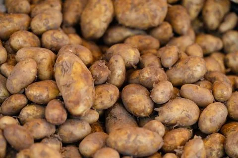 Potatoes Stock Photos