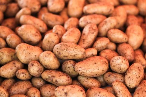Potatoes Stock Photos