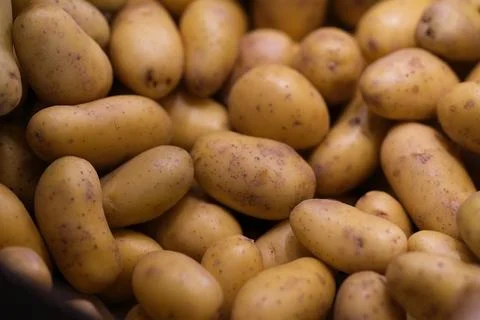 Potatoes Stock Photos