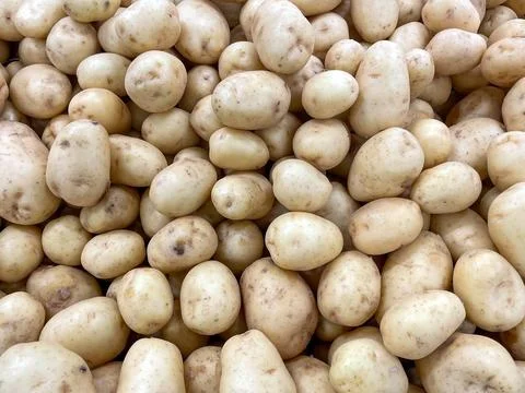 Potatoes Stock Photos