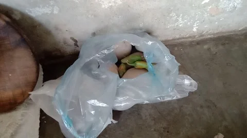 Potatoes Placed in a Plastic Bag Stock Footage 346746840