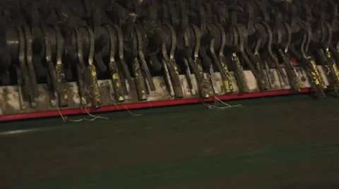 Potatoes: processing and packing Stock Footage 45933885