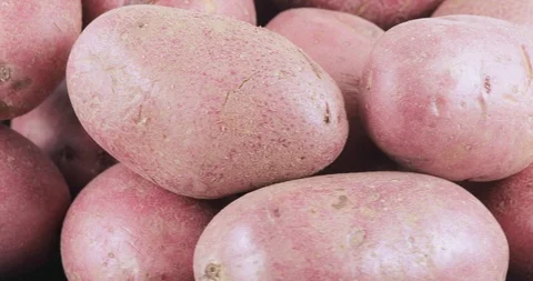 Potatoes red bulk on table Stock-Footage 98836567