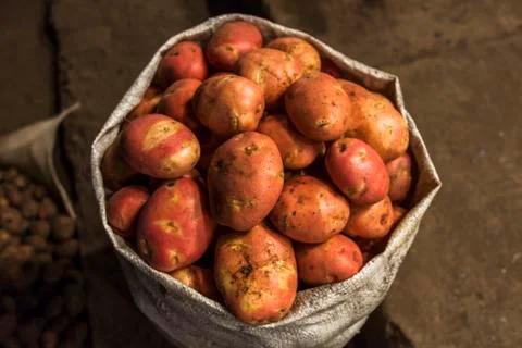 Potatoes in a sack Stock Photos