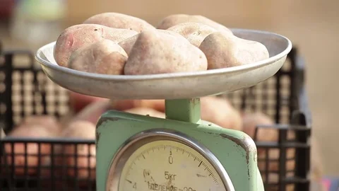 Potatoes on the scales. Stock Footage 74522763