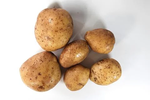 Potatoes with several sizes on a white base, potatoes that are usually used a Stock Photos