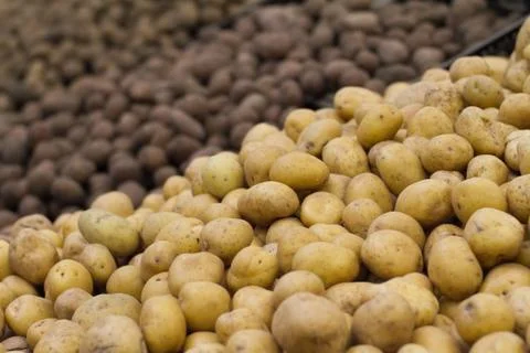 Potatoes on shelf in store Foto stock