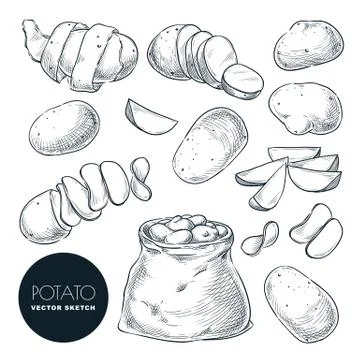 Potatoes sketch vector illustration. Potato harvest in sack. Hand drawn agric Stock Illustration