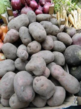 Potatoes on stalls Stock Photos