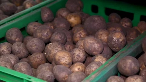 Potatoes stored in boxes Vídeo Stock 195972653