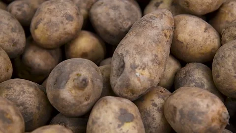 Potatoes stored in boxes Видео 197570091