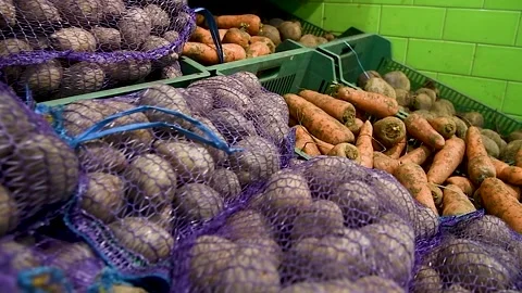 Potatoes stored in boxes Vidéo 204154363