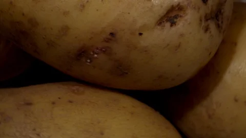 Potatoes turning around close up UK 4K Vidéo 101751008