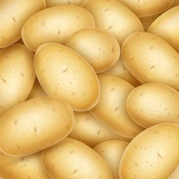 Potatoes. Useful vegetable. Vector illustration. Stock Illustration