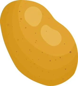 Potatoes vector illustration. Isolated white background. Transparent objects Stock Illustration