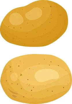 Potatoes vector illustration. Isolated white background. Transparent objects Stock Illustration
